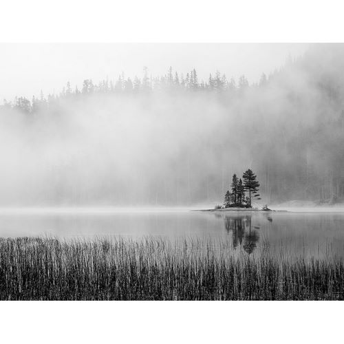 Washington State Alpine Lakes Wilderness-Snow Lake-island and fog